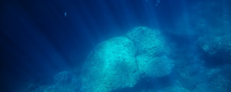 Perbedaan Batimetri dan Sub Bottom Profilling