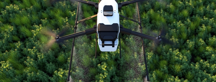 tree counting | techno gis