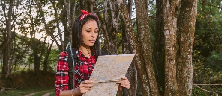 Cara Melihat Peta Kawasan Hutan Mengakses Informasi Hutan Secara Mudah