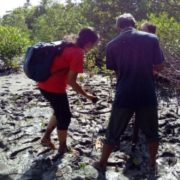 Apakah Konservasi Lingkungan Bisa Dilakukan Dengan Skala Kecil Secara Efektif?