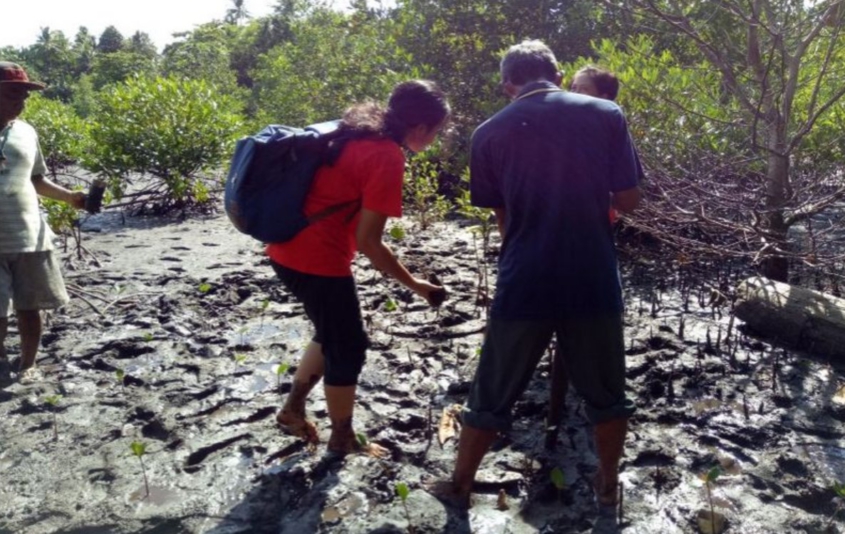 Apakah Konservasi Lingkungan Bisa Dilakukan Dengan Skala Kecil Secara Efektif?