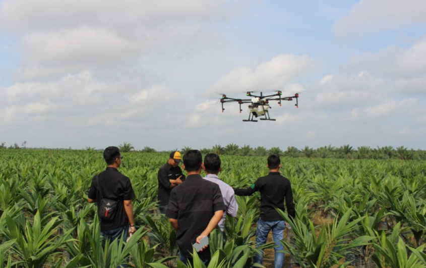 Pemetaan Perkebunan Kelapa Sawit Teknologi Drone Dan SIG Terbaru