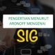 Pengertian SIG Menurut Aronoff, Penjelasan Lengkap